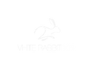 Vhite Rabbit XR